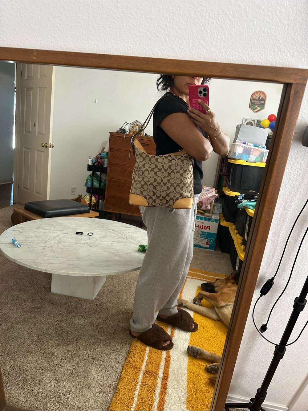 Coach Signature Hobo in Brown and Tan Leather Trim - Picture 6 of 6